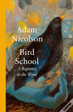 Capa do artigo Bird School