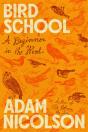 Bird School - Preview