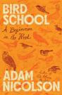 Bird School - Preview