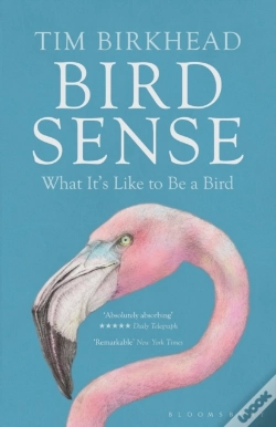 Capa do artigo Bird Sense