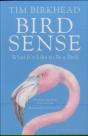 Bird Sense - Preview