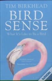 Capa do artigo Bird Sense