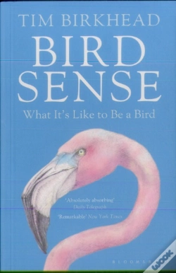 Capa do artigo Bird Sense