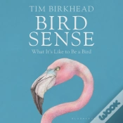 Capa do artigo Bird Sense