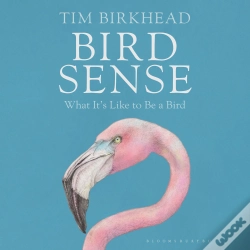 Capa do artigo Bird Sense