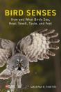 Bird Senses - Preview