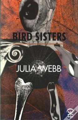 Capa do artigo Bird Sisters