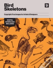 Capa do artigo Bird Skeletons