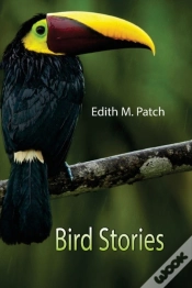 Capa do artigo Bird Stories