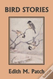 Capa do artigo Bird Stories (Yesterday