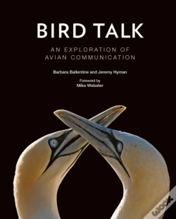 Capa do artigo Bird Talk