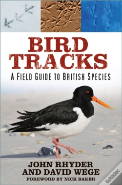 Capa do artigo Bird Tracks
