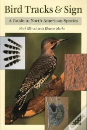 Capa do artigo Bird Tracks & Sign