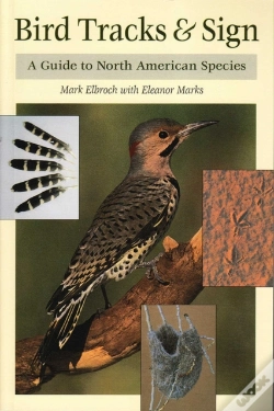 Capa do artigo Bird Tracks & Sign