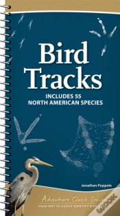 Capa do artigo Bird Tracks