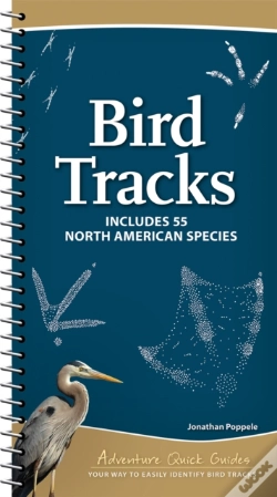 Capa do artigo Bird Tracks