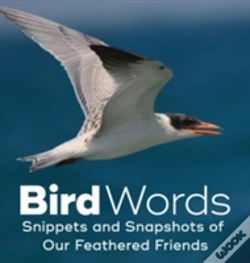 Capa do artigo Bird Words