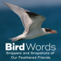 Bird Words - Preview