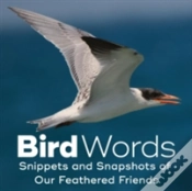 Capa do artigo Bird Words