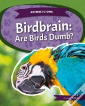 Capa do artigo Birdbrain