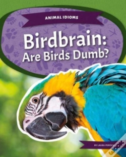 Capa do artigo Birdbrain