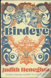 Capa do artigo Birdeye