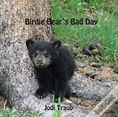 Birdie Bear'S Bad Day