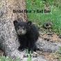 Birdie Bear'S Bad Day - Preview