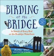 Capa do artigo Birding At The Bridge