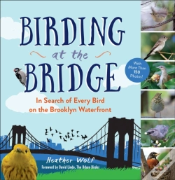 Capa do artigo Birding At The Bridge