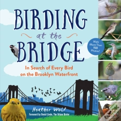 Capa do artigo Birding At The Bridge