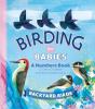 Birding For Babies: Backyard Birds - Preview