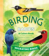 Birding For Babies: Migrating Birds