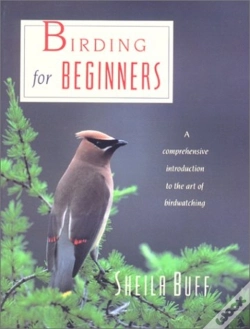 Capa do artigo Birding For Beginners