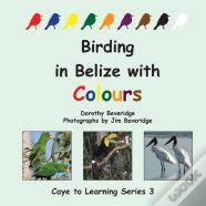 Birding In Belize With Colours