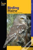 Birding Maine