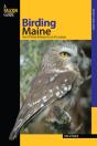 Birding Maine - Preview