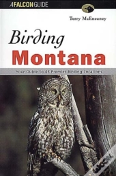 Birding Montana