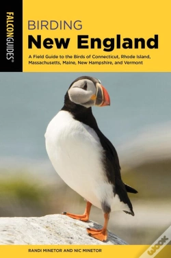 Capa do artigo Birding New England