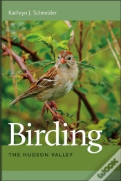 Capa do artigo Birding The Hudson Valley