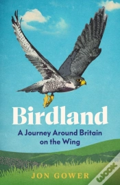 Capa do artigo Birdland