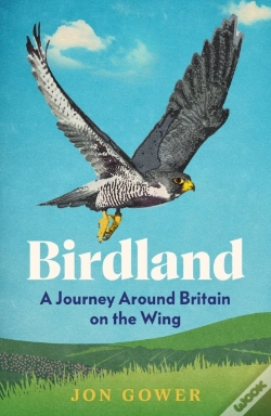 Capa do artigo Birdland