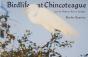 Birdlife At Chincoteague And The Virginia Barrier Islands - Preview