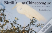 Birdlife At Chincoteague And The Virginia Barrier Islands
