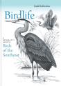 Birdlife - Preview
