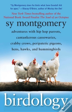Capa do artigo Birdology