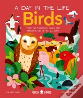Birds (A Day In The Life)