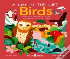 Birds (A Day In The Life)