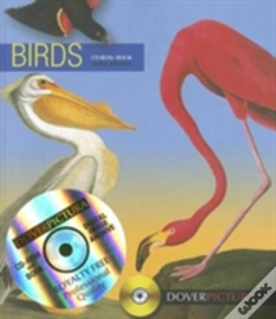 Capa do artigo Birds