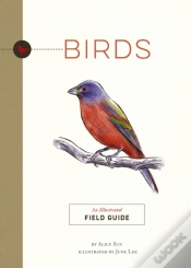 Capa do artigo Birds